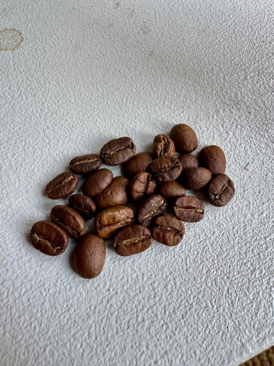 Dawn Patrol Coffee Beans - 1kg - Image 3